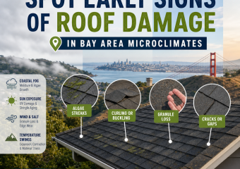 Infographic on early signs of roof damage in Bay Area microclimates with key indicators and prevention tips